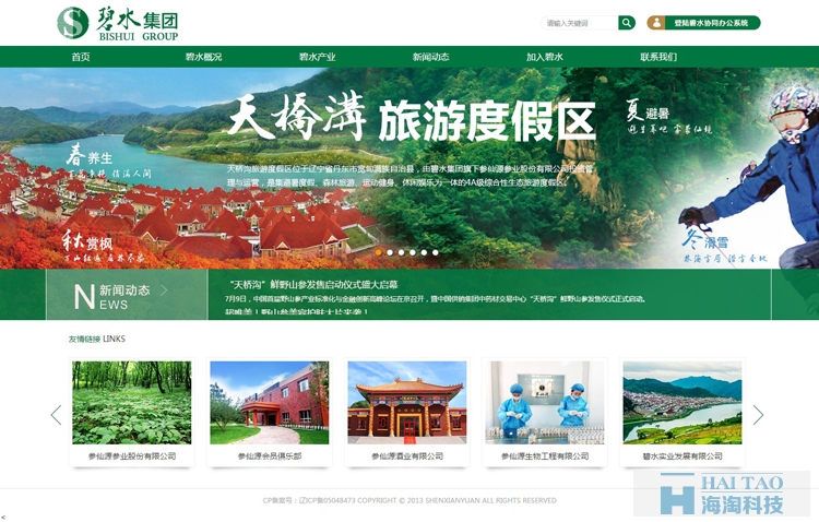 碧水集团旅游网站的建设,上海旅游公司网站建设,旅游行业网站建设