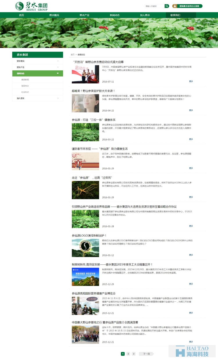 碧水集团旅游网站的建设,上海旅游公司网站建设,旅游行业网站建设