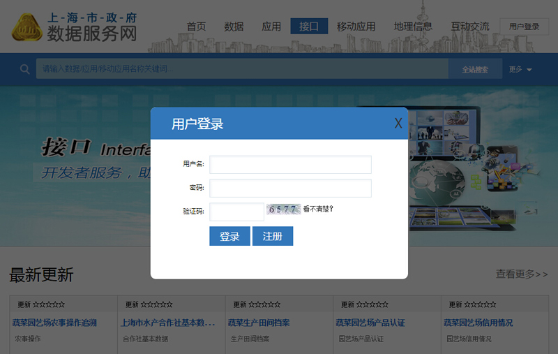 上海数据服务网网页设计案例