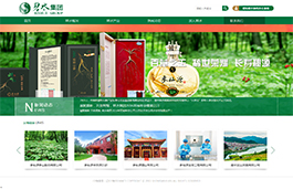 碧水集团旅游网站的建设,上海旅游公司网站建设,旅游行业网站建设